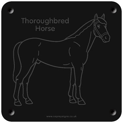 'Thoroughbred horse' rubbing plaque