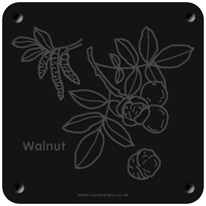 'Walnut' rubbing plaque