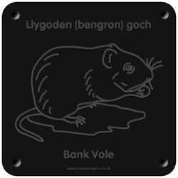 Welsh 'Bank vole' rubbing plaque