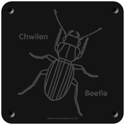 Welsh 'Beetle' rubbing plaque