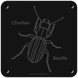 Welsh 'Beetle' rubbing plaque