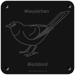 Welsh 'Blackbird' rubbing plaque