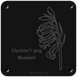 Welsh 'Bluebell' rubbing plaque