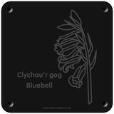 Welsh 'Bluebell' rubbing plaque