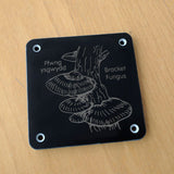 Welsh 'Bracket fungus' rubbing plaque