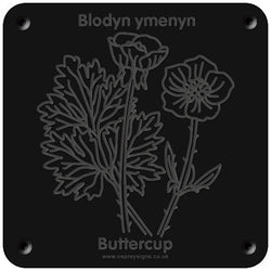 Welsh 'Buttercup' rubbing plaque