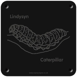 Welsh 'Caterpillar' rubbing plaque