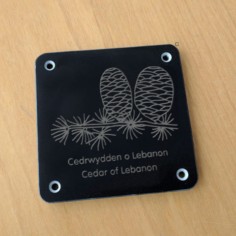 Welsh 'Cedar of Lebanon' rubbing plaque