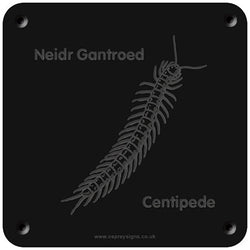 Welsh 'Centipede' rubbing plaque