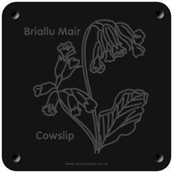 Welsh 'Cowslip' rubbing plaque