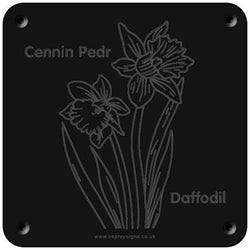 Welsh 'Daffodil' rubbing plaque