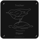 Welsh 'Dipper' rubbing plaque