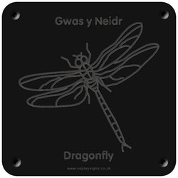 Welsh 'Dragonfly' rubbing plaque