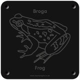 Welsh 'Frog' rubbing plaque