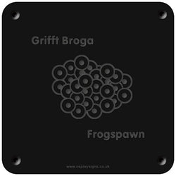 Welsh 'Frogspawn' rubbing plaque