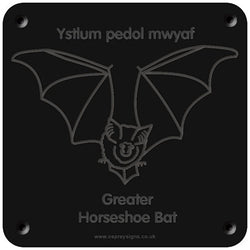 Welsh 'Greater horseshoe bat' rubbing plaque