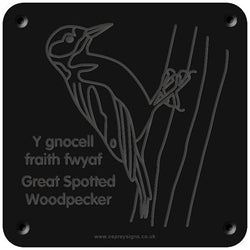 Welsh 'Great spotted woodpecker' rubbing plaque