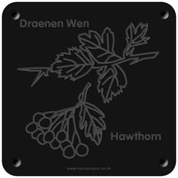 Welsh 'Hawthorn' rubbing plaque