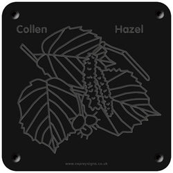 Welsh 'Hazel' rubbing plaque