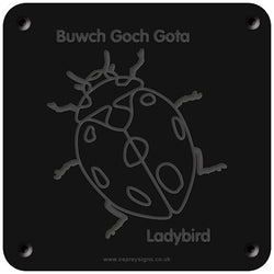 Welsh 'Ladybird' rubbing plaque
