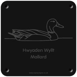 Welsh 'Mallard' rubbing plaque