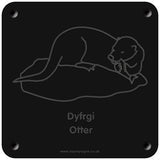 Welsh 'Otter' rubbing plaque