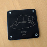Welsh 'Otter' rubbing plaque