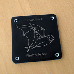 Welsh 'Pipistrelle bat' rubbing plaque