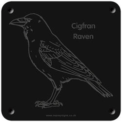 Welsh 'Raven' rubbing plaque