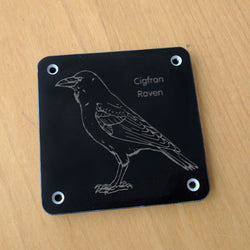 Welsh 'Raven' rubbing plaque