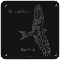 Welsh 'Red kite' rubbing plaque