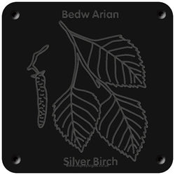 'Welsh silver birch' rubbing plaque