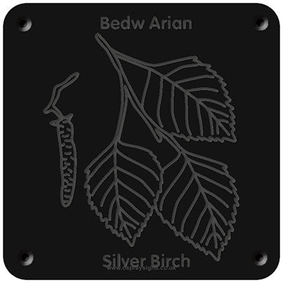 'Welsh silver birch' rubbing plaque