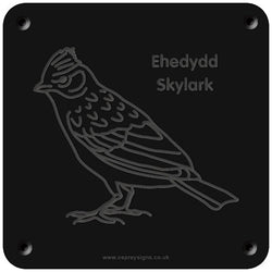 Welsh 'Skylark' rubbing plaque