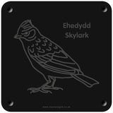 Welsh 'Skylark' rubbing plaque