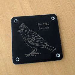 Welsh 'Skylark' rubbing plaque