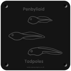 Welsh 'Tadpoles' rubbing plaque