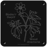 Welsh 'Wood anemone' rubbing plaque