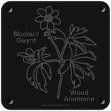 Welsh 'Wood anemone' rubbing plaque