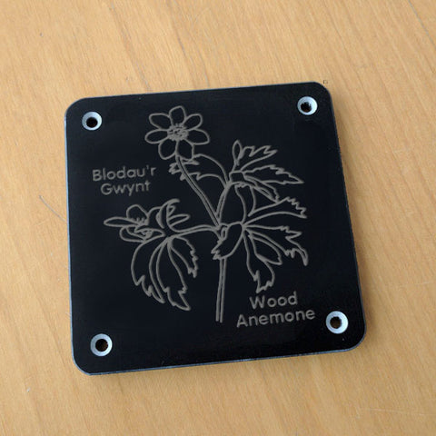 Welsh 'Wood anemone' rubbing plaque