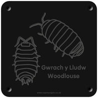 Welsh 'Woodlouse' rubbing plaque