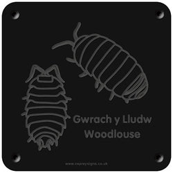 Welsh 'Woodlouse' rubbing plaque