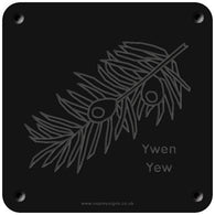 Welsh 'Yew' rubbing plaque