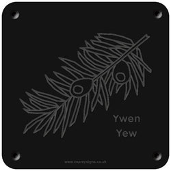 Welsh 'Yew' rubbing plaque