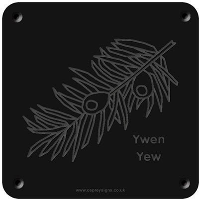 Welsh 'Yew' rubbing plaque