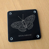 'White admiral' rubbing plaque