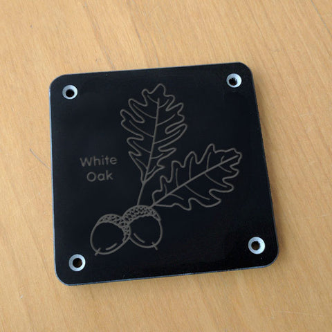 'White oak' rubbing plaque