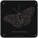 'White admiral' rubbing plaque