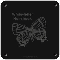 'White letter hairstreak' rubbing plaque