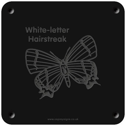 'White letter hairstreak' rubbing plaque
